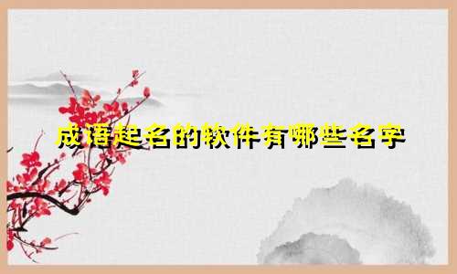 成语起名的软件有哪些名字