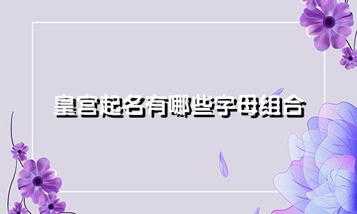 皇宫起名有哪些字母组合