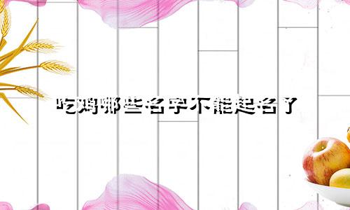 吃鸡哪些名字不能起名了