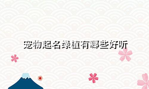 宠物起名绿植有哪些好听