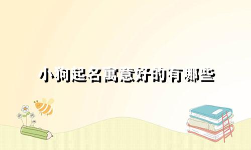 小狗起名寓意好的有哪些