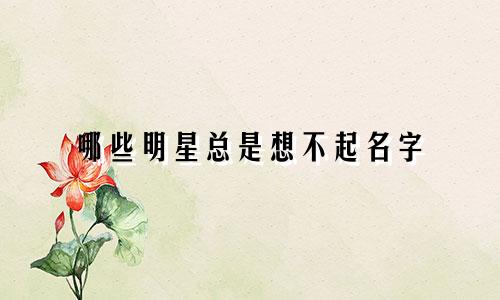 哪些明星总是想不起名字