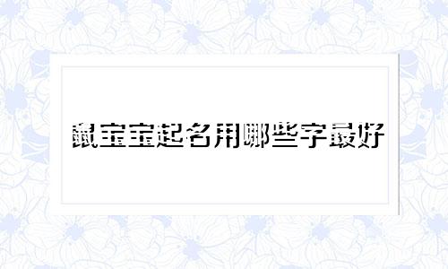 鼠宝宝起名用哪些字最好