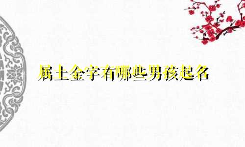 属土金字有哪些男孩起名