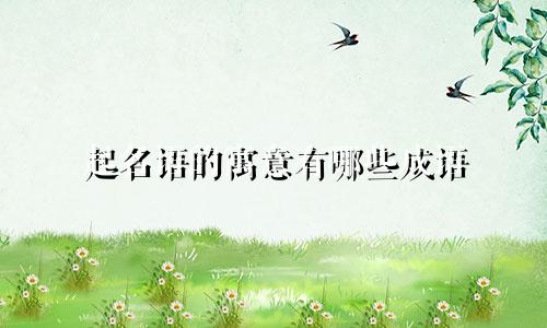 起名语的寓意有哪些成语