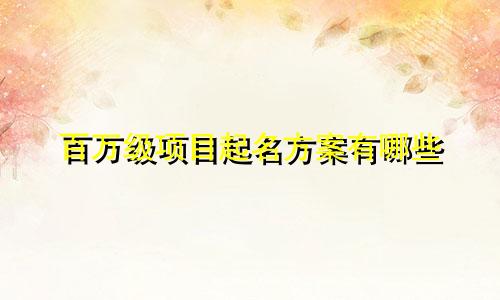 百万级项目起名方案有哪些