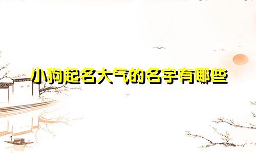 小狗起名大气的名字有哪些