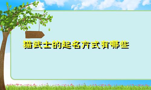 猫武士的起名方式有哪些