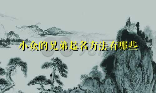 小众的兄弟起名方法有哪些