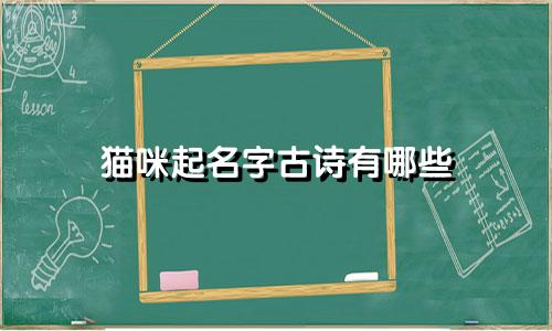 猫咪起名字古诗有哪些