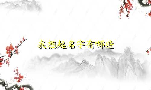 我想起名字有哪些