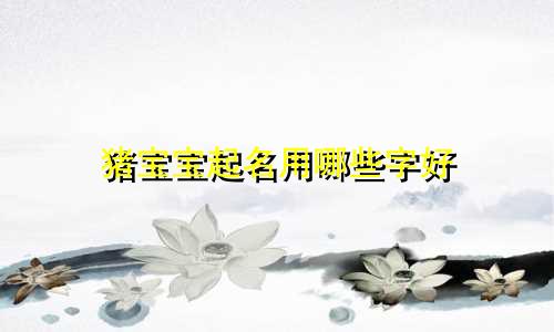 猪宝宝起名用哪些字好