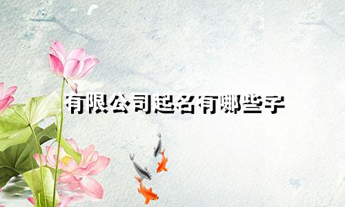 有限公司起名有哪些字