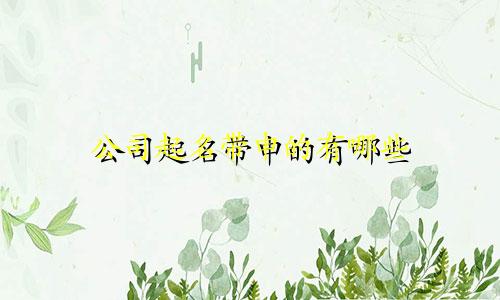 公司起名带申的有哪些