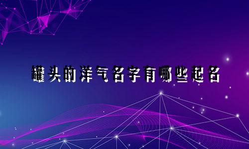 罐头的洋气名字有哪些起名
