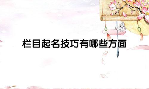 栏目起名技巧有哪些方面