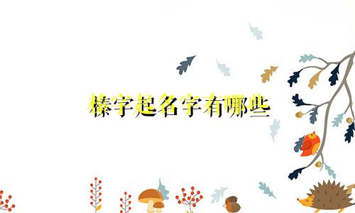 榛字起名字有哪些