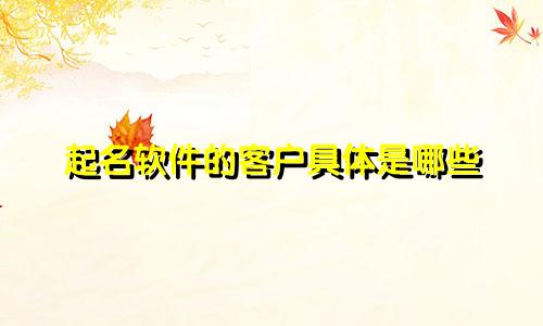 起名软件的客户具体是哪些