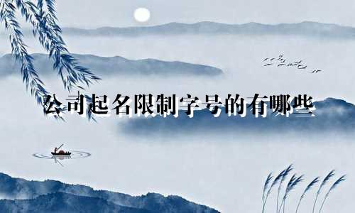 公司起名限制字号的有哪些