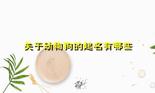关于动物狗的起名有哪些