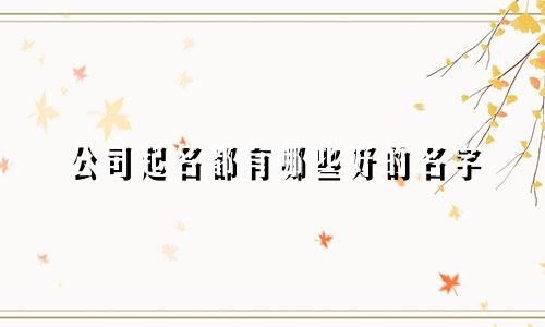 公司起名都有哪些好的名字