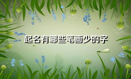 起名有哪些笔画少的字