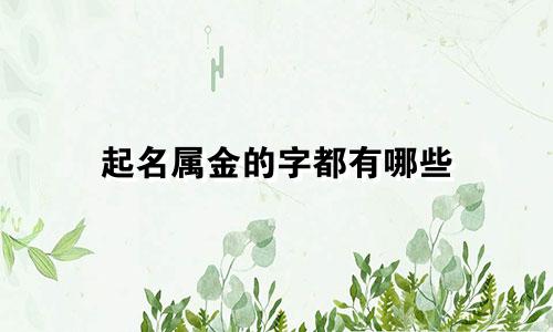 起名属金的字都有哪些