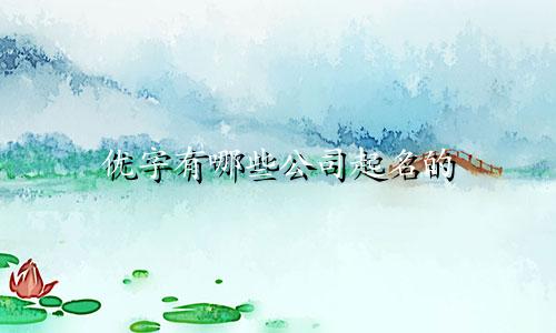 优字有哪些公司起名的