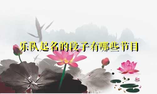 乐队起名的段子有哪些节目
