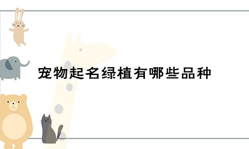 宠物起名绿植有哪些品种