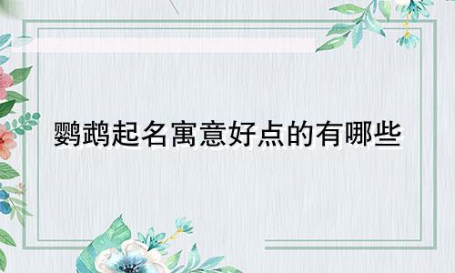 鹦鹉起名寓意好点的有哪些