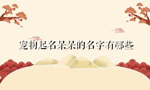 宠物起名呆呆的名字有哪些