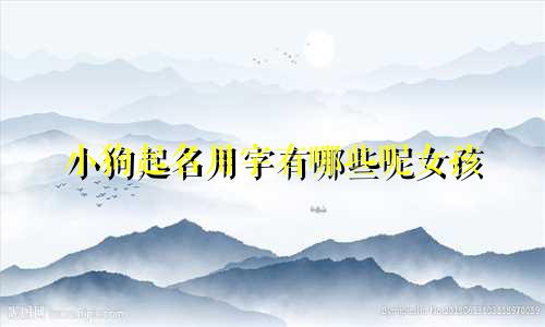 小狗起名用字有哪些呢女孩
