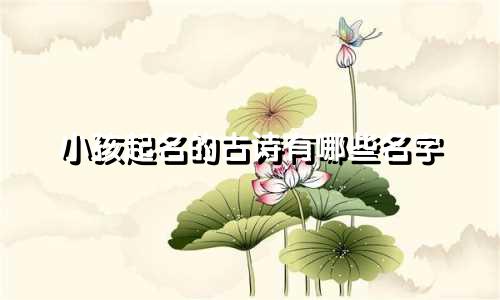 小孩起名的古诗有哪些名字