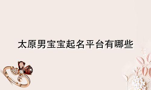 太原男宝宝起名平台有哪些