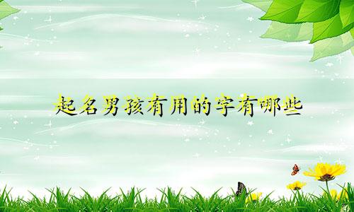 起名男孩有用的字有哪些