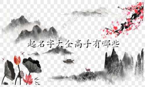 起名字大全高手有哪些