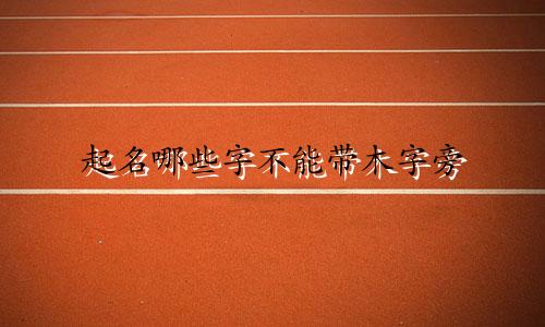起名哪些字不能带木字旁