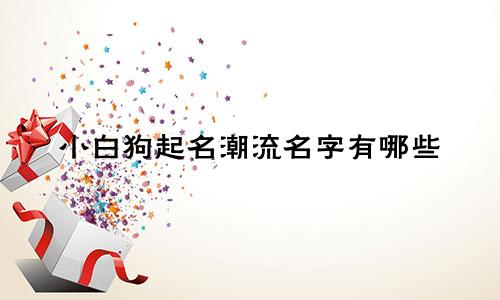 小白狗起名潮流名字有哪些