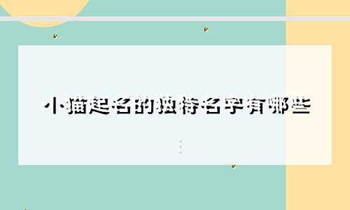 小猫起名的独特名字有哪些