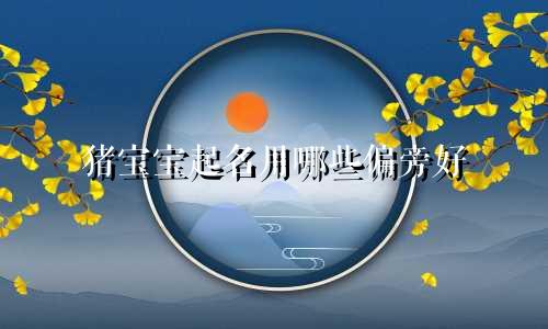 猪宝宝起名用哪些偏旁好