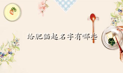 给肥猫起名字有哪些