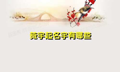 菀字起名字有哪些