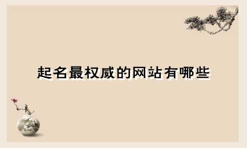 起名最权威的网站有哪些