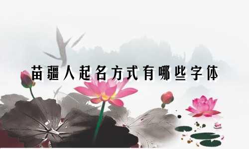苗疆人起名方式有哪些字体