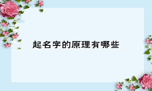 起名字的原理有哪些