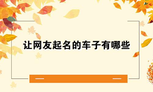 让网友起名的车子有哪些