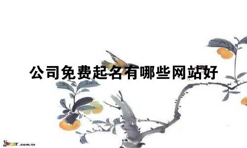 公司免费起名有哪些网站好