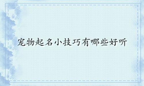 宠物起名小技巧有哪些好听