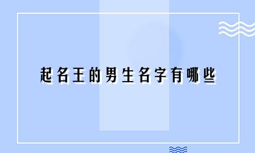起名王的男生名字有哪些